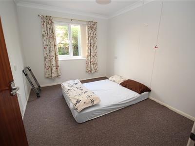 Picture 7
